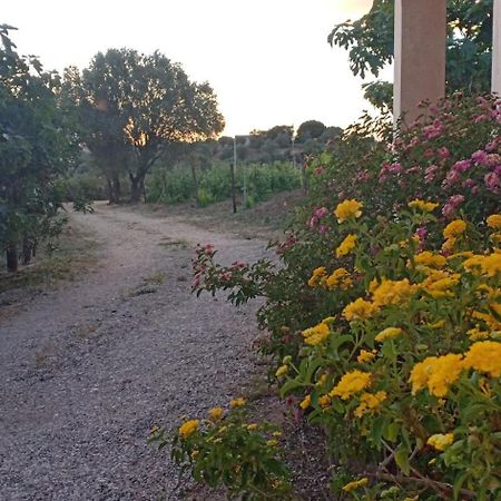 Agriturismo Muristene Villa Dorgali Exterior photo