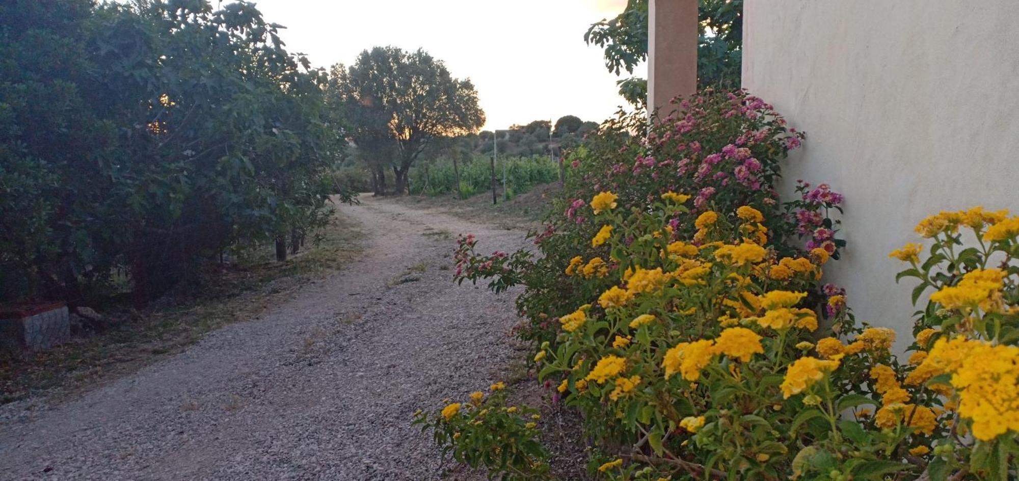 Agriturismo Muristene Villa Dorgali Exterior photo